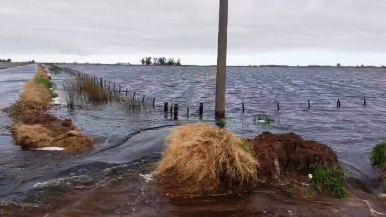 ARBA Exime del Impuesto Inmobiliario Rural a campos de 19 distritos afectados por inundaciones