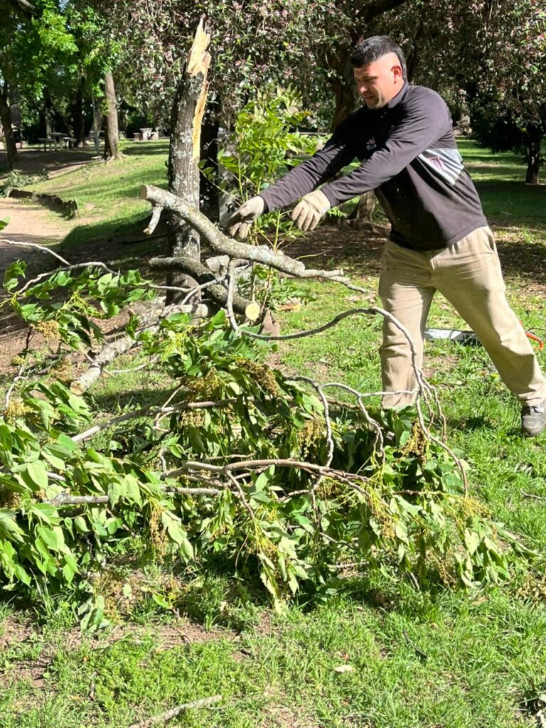 Continúan los trabajos del Municipio tras el temporal