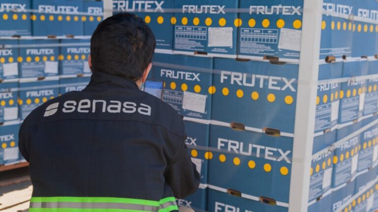 Argentina duplicó sus envíos de cítricos a la Unión Europea y superó las 100 mil toneladas en 2025