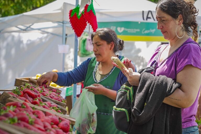 La provincia de Buenos Aires es la principal productora de frutillas del país