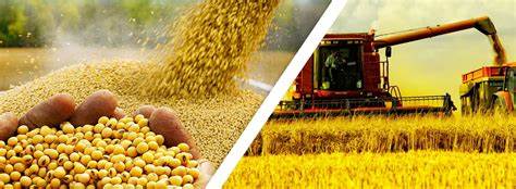 La Federación de Acopiadores rechaza los reclamos salariales de URGARA y pide denunciar bloqueos