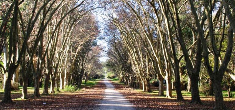 Detienen a un sargento de la Bonaerense por el secuestro y violación de una joven en La Plata