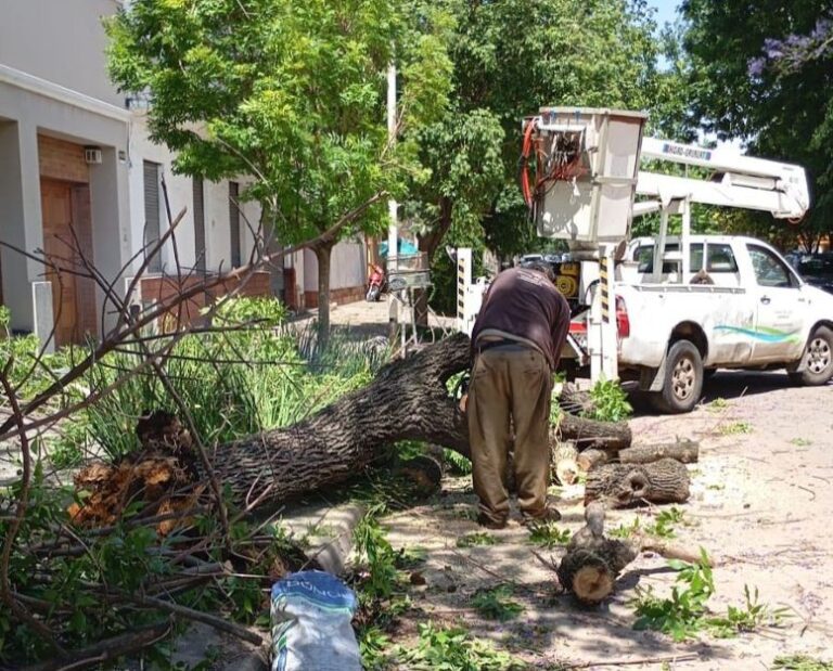 Trabajos del municipio por el temporal