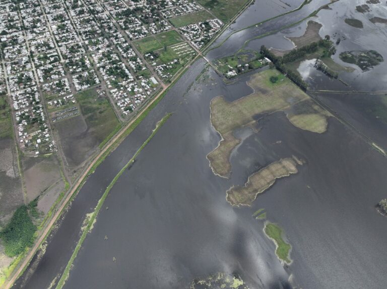 Ingeniero Agrónomo advierte que los campos afectados por las inundaciones tardarán meses en recuperarse