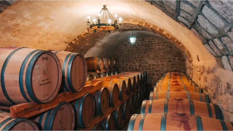 Reformas en el sector vitivinícola: habrá menos controles en las bodegas