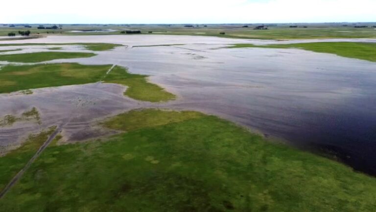 El Senado Bonaerense pide Declarar la Emergencia Hídrica en la Cuenca del Río Salado