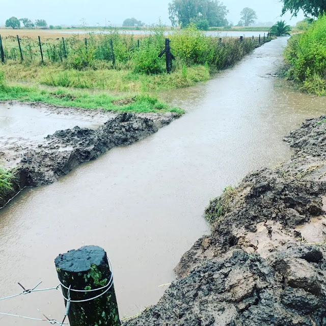 Franco Flexas: “Los 63 millones recibidos serán para combustible, no alcanzan para insumos de las obras”