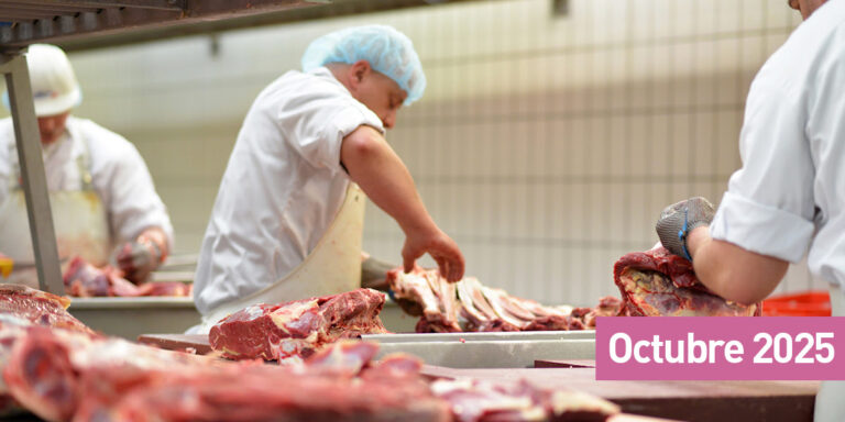 La carne vacuna sigue encareciéndose: los precios subieron 3,3% en octubre y acumulan un alza del 61,8% anual