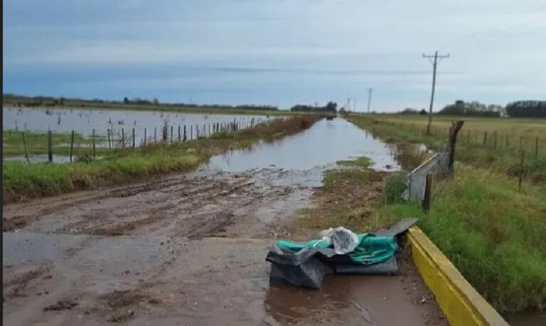 Este viernes vence el plazo para la carga de Declaraciones Juradas por Emergencia Agropecuaria