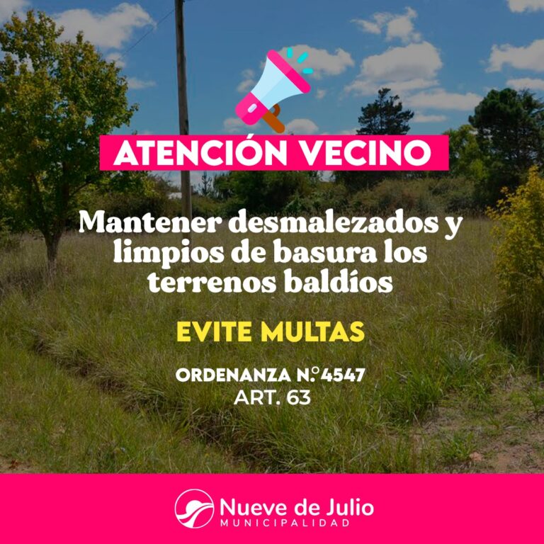 Se recuerda la obligatoriedad de limpiar los terrenos baldíos para prevenir el dengue y garantizar la higiene urbana