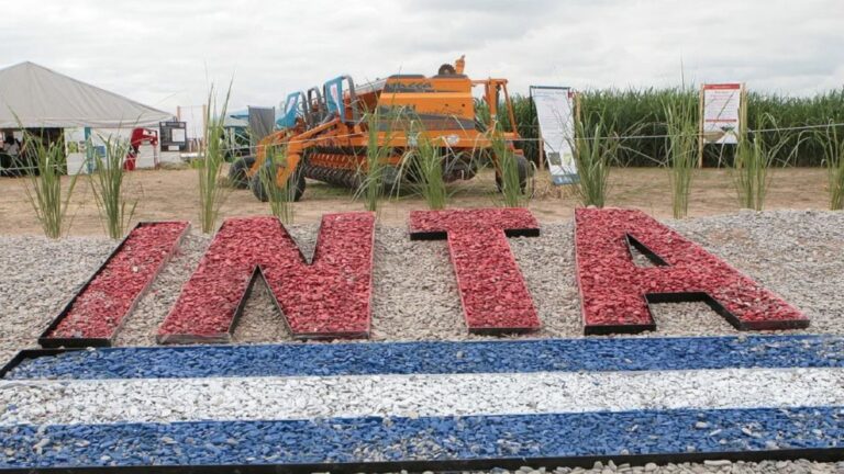 Creación del INTA: 69 años como Pilar en la Innovación Agropecuaria