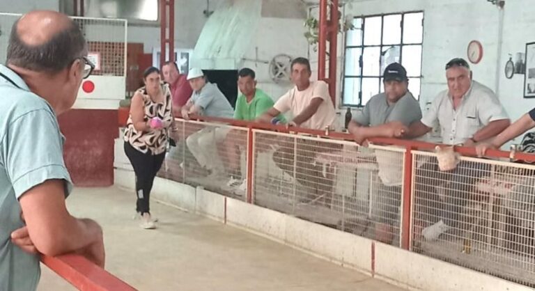Se disputó un torneo de bochas en el Club Atlético con 31 participante