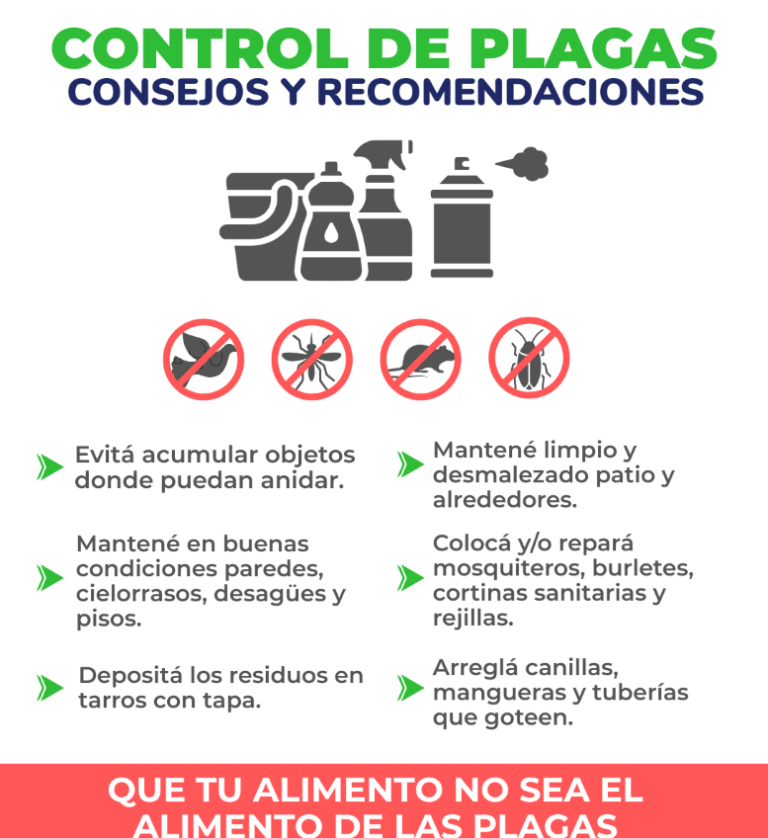 Control de plagas: la prevención empieza en casa