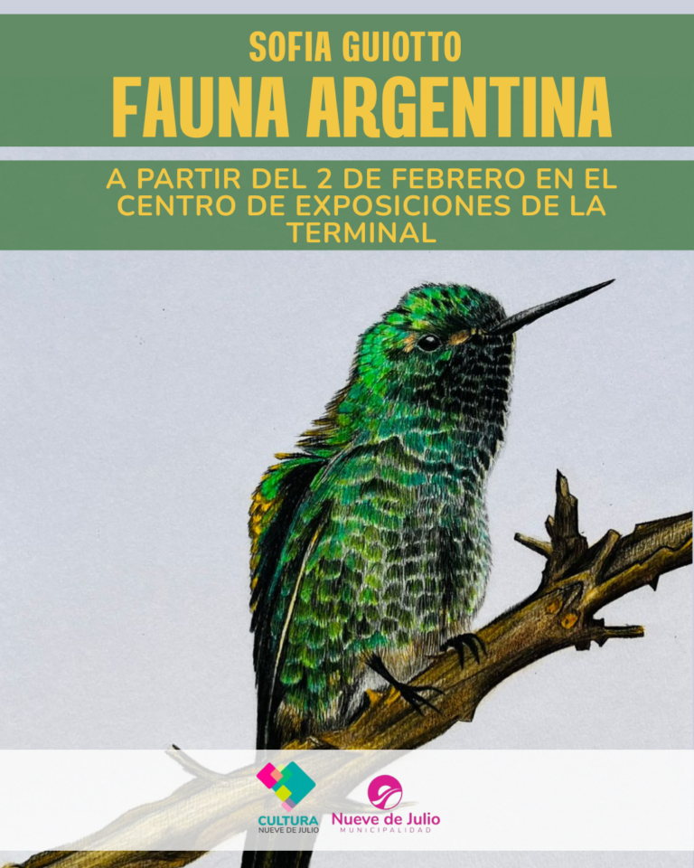 Fauna Argentina: una exposición que revela la belleza de los animales autóctonos lucirá en la Terminal de Omnibus