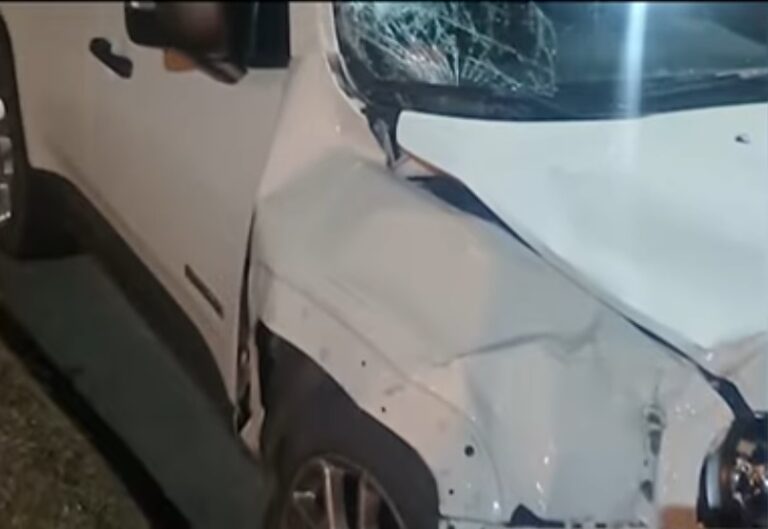 Alcohol al volante y muerte: Transporte inhabilita a conductora de 41 años tras homicidio culposo en Tigre