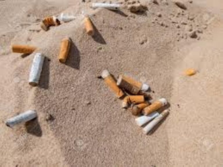 Solo en espacios permitidos se autoriza fumar en las playas de la costa