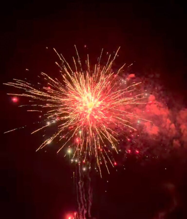 Se detectaron infracciones por uso de pirotecnia durante los Festejos de Año Nuevo