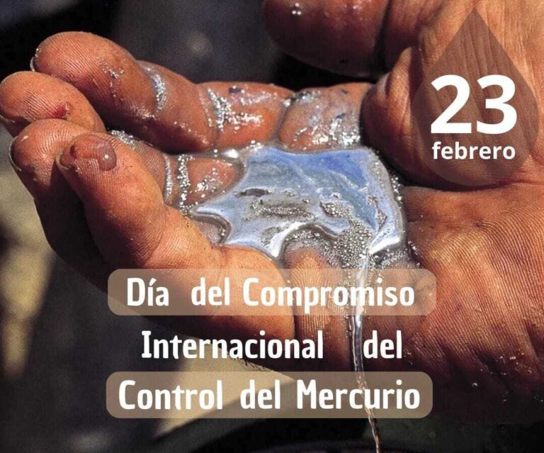 Día Internacional del Control del Mercurio: un día para recordar el impacto ambiental y humano