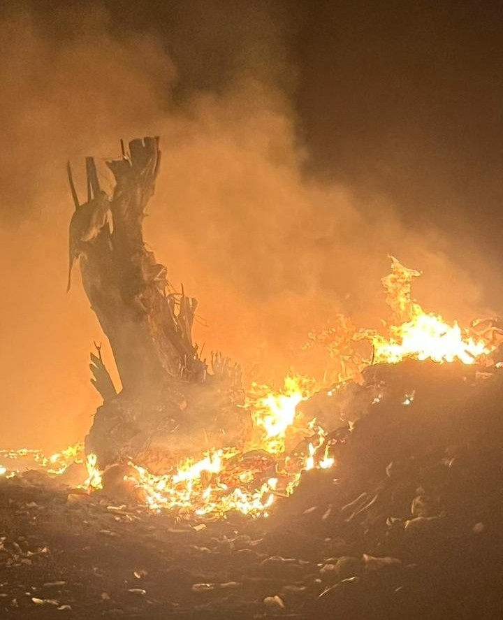 Vecino solicita urgente cierre del basural y declaración de emergencia ambiental
