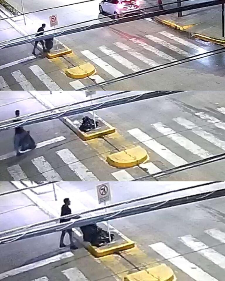 Las Cámaras de Seguridad refuerzan el control del Espacio Público para preservar la Ciudad