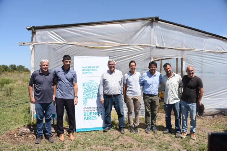 Cáñamo: De la visión de Manuel Belgrano al impulso en el cinturón hortícola bonaerense