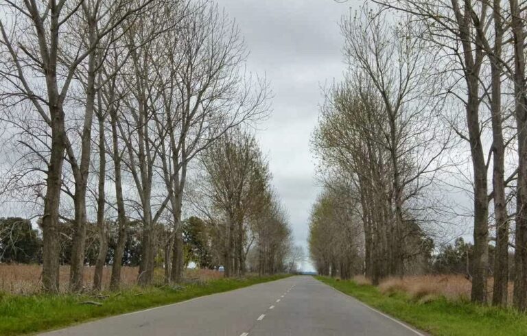 Anciano de 85 años es asaltado mientras caminaba en el acceso a Dudignac