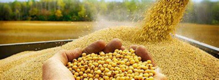 Tensión geopolítica impulsa los mercados globales y redefine estrategias comerciales del agro