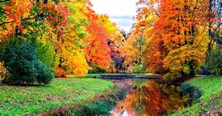 Llega el otoño: el equinoccio marca el inicio de una nueva estación