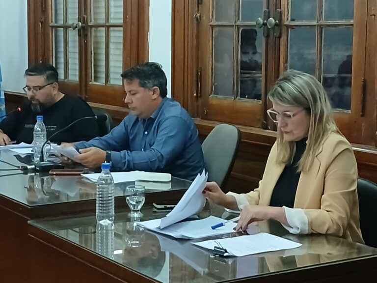 El Concejo Deliberante sesiona este jueves y tratará un proyecto para abordar integralmente la problemática del suicidio