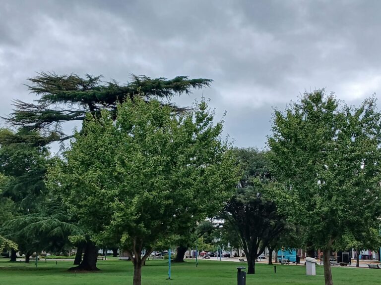 La lluvia llega a los 29.6mm