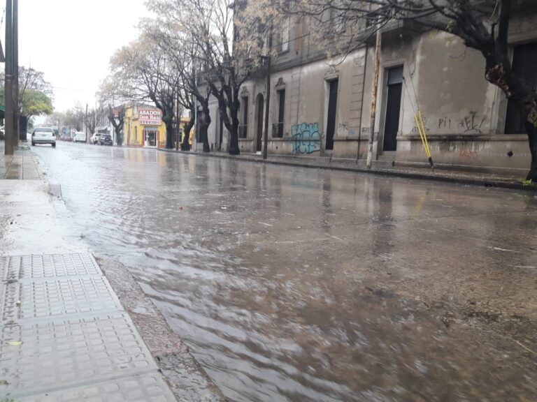 Silvina Vaccarezza pidió informes al Gobierno bonaerense por el impacto de las lluvias y el exceso hídrico en el interior