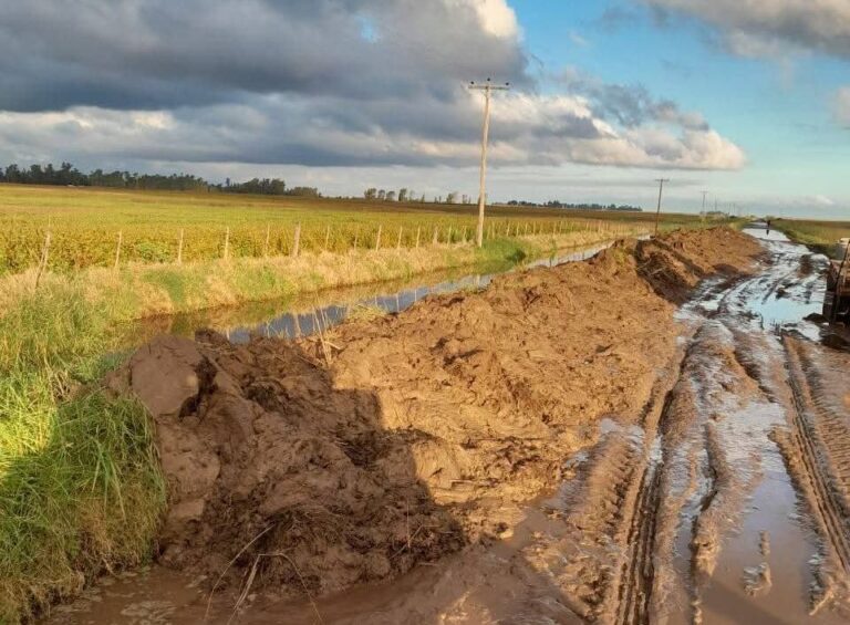 Bloque Radical reclama para que haya mantenimiento en caminos rurales y canales