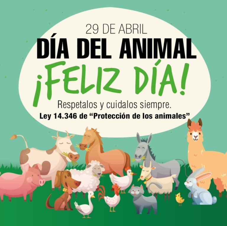 Se celebra el Día del Animal en todo el país