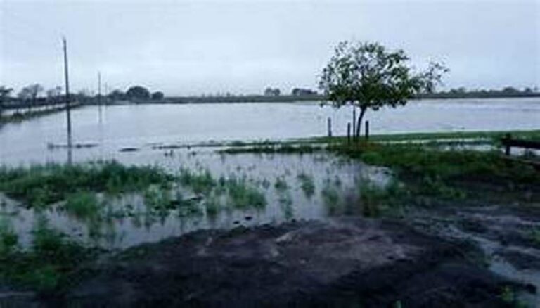 La Autoridad del Agua sancionó a La Tacura S.A. por una obra hidráulica clandestina en Carlos Casares