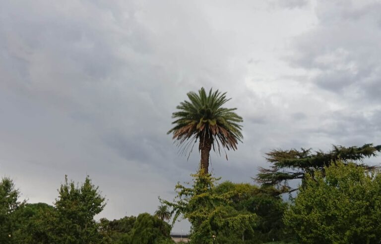 Alerta amarilla por tormentas: pronostican lluvias intensas desde esta tarde y durante la noche