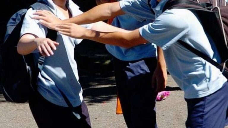 Petrecca le pide al Gobierno provincial que no ignore el problema de la violencia en las escuelas