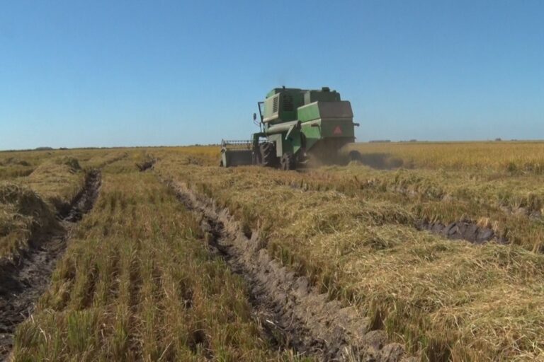 La confianza del campo cayó 16% y se frena la inversión por la suba de costos y la guerra en Medio Oriente