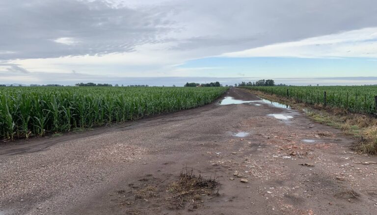 ‘La emergencia no terminó y la inacción persiste en el distrito’ señala la Sociedad Rural