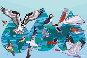 Alas que sostienen los ecosistemas: hoy se celebra el Día Internacional de las Aves