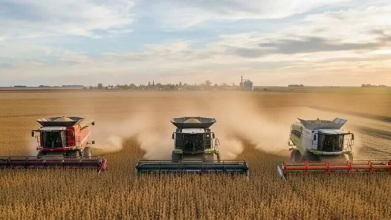 El agro impulsa una campaña histórica con cosecha de 163 millones de toneladas