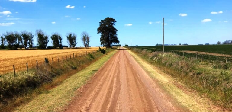 Silvina Vaccarezza presentó un proyecto para crear un índice de transitabilidad de caminos rurales en la Provincia