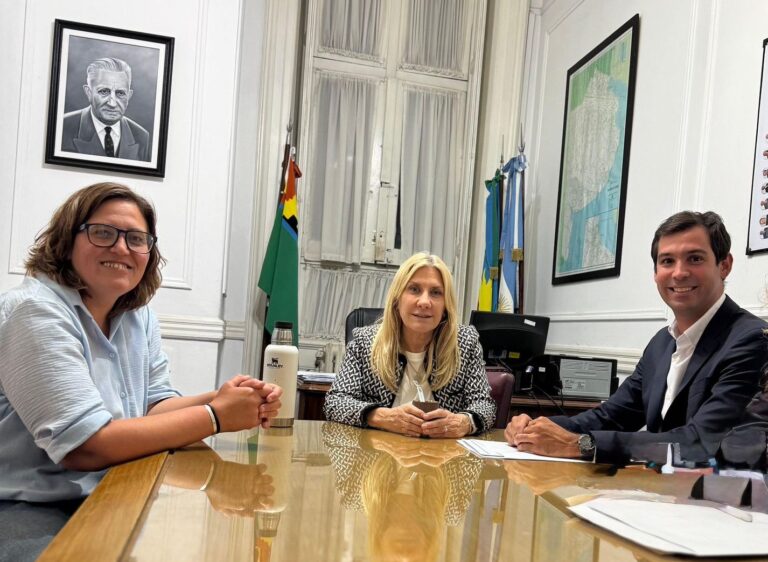 Legisladores de la oposición impulsan una comisión bicameral para fiscalizar y normalizar el IOMA
