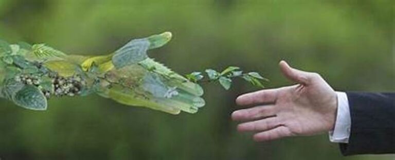 Presentan proyecto para crear un sistema de justicia ambiental itinerante en la provincia de Buenos Aires