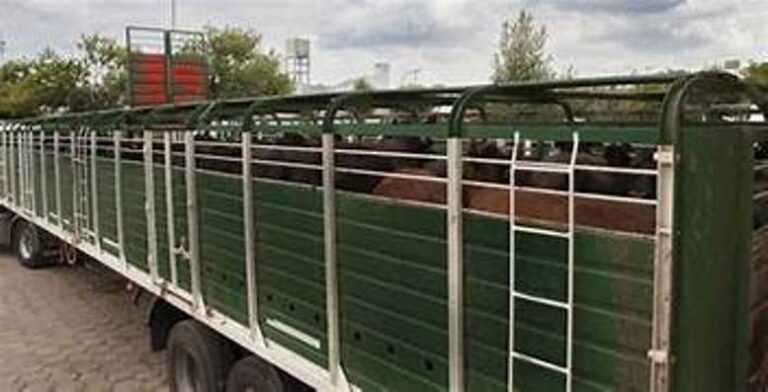 La Sociedad Rural de Nueve de Julio cuestiona la restricción para emitir guías por deudas municipales