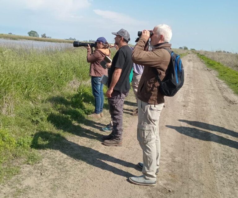 Nueve de Julio se suma al “Big Day” con una jornada abierta de observación de aves