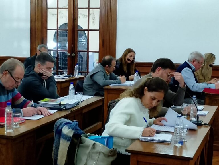 Concejo Deliberante: aprobaron pedidos de informes, debatieron sobre la ocupación de La Trocha y hogares para adultos mayores