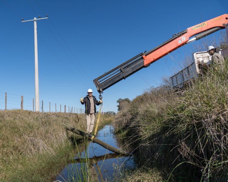 La Cooperativa de Gral. Viamonte renueva la red rural con columnas de hormigón