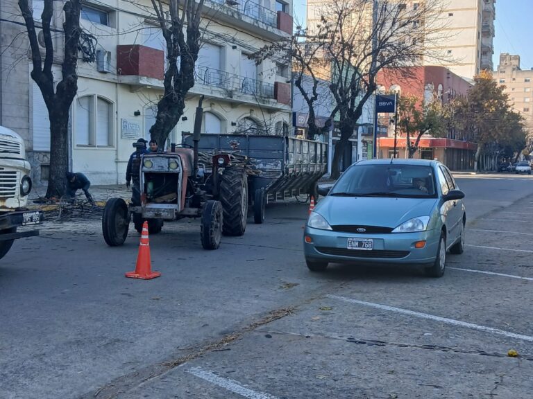 Trabajos municipales en el centro de la ciudad: poda correctiva frente a la Escuela Nº 1 y hay que circular con precaución