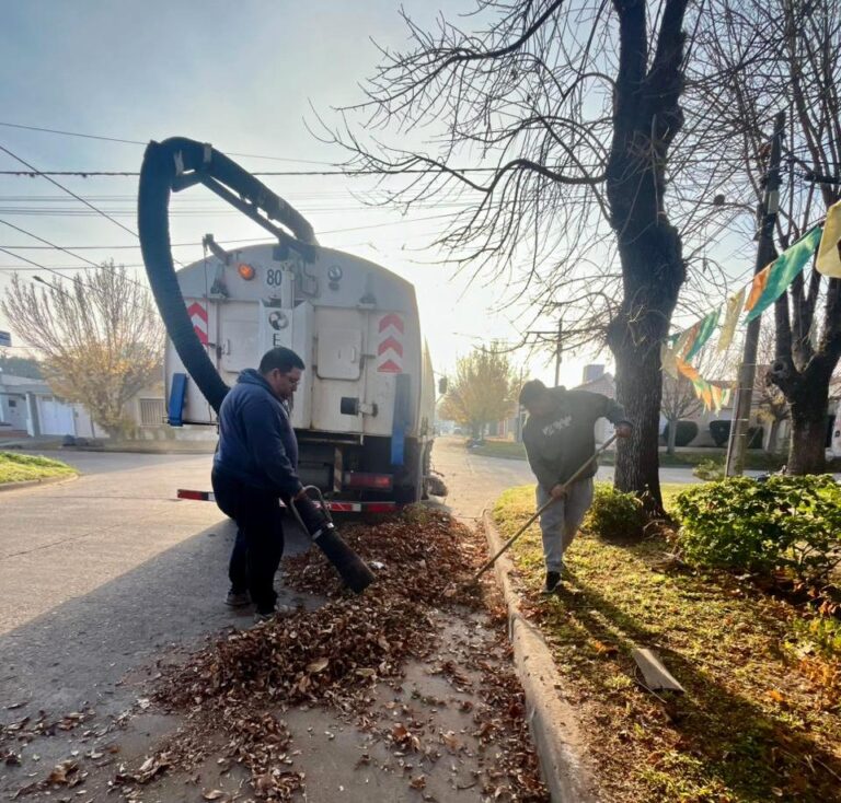 Refuerzan operativos de limpieza y recolección de hojas en la ciudad