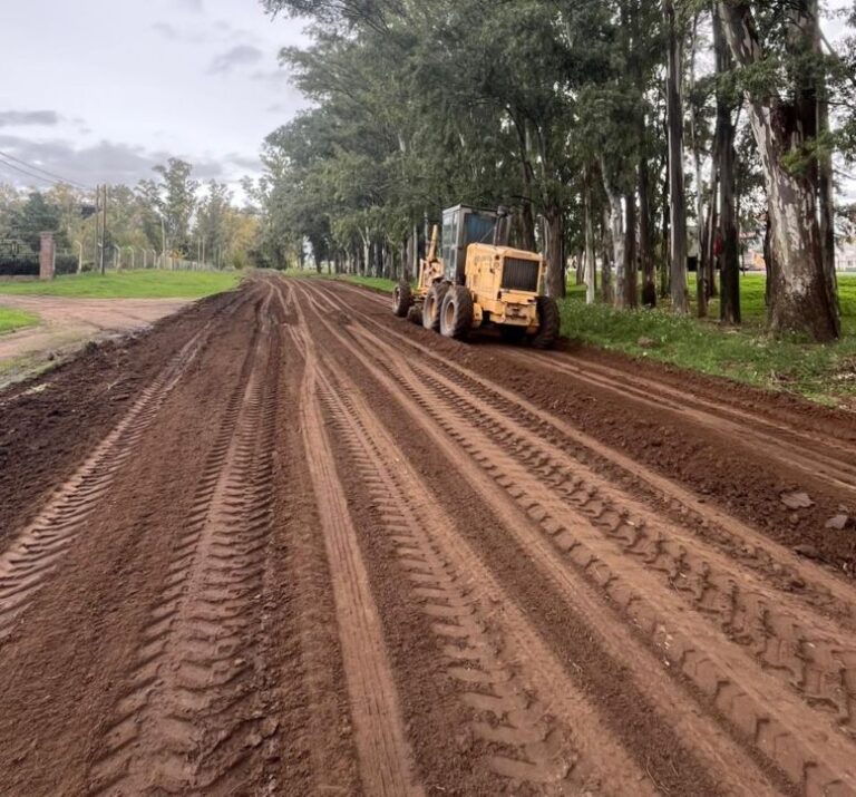 Avanza la reconstrucción de la colectora de la Ruta 5
